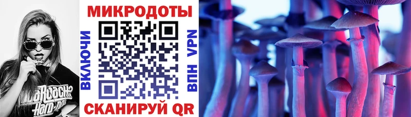 Галлюциногенные грибы прущие грибы  сколько стоит  Сокол 